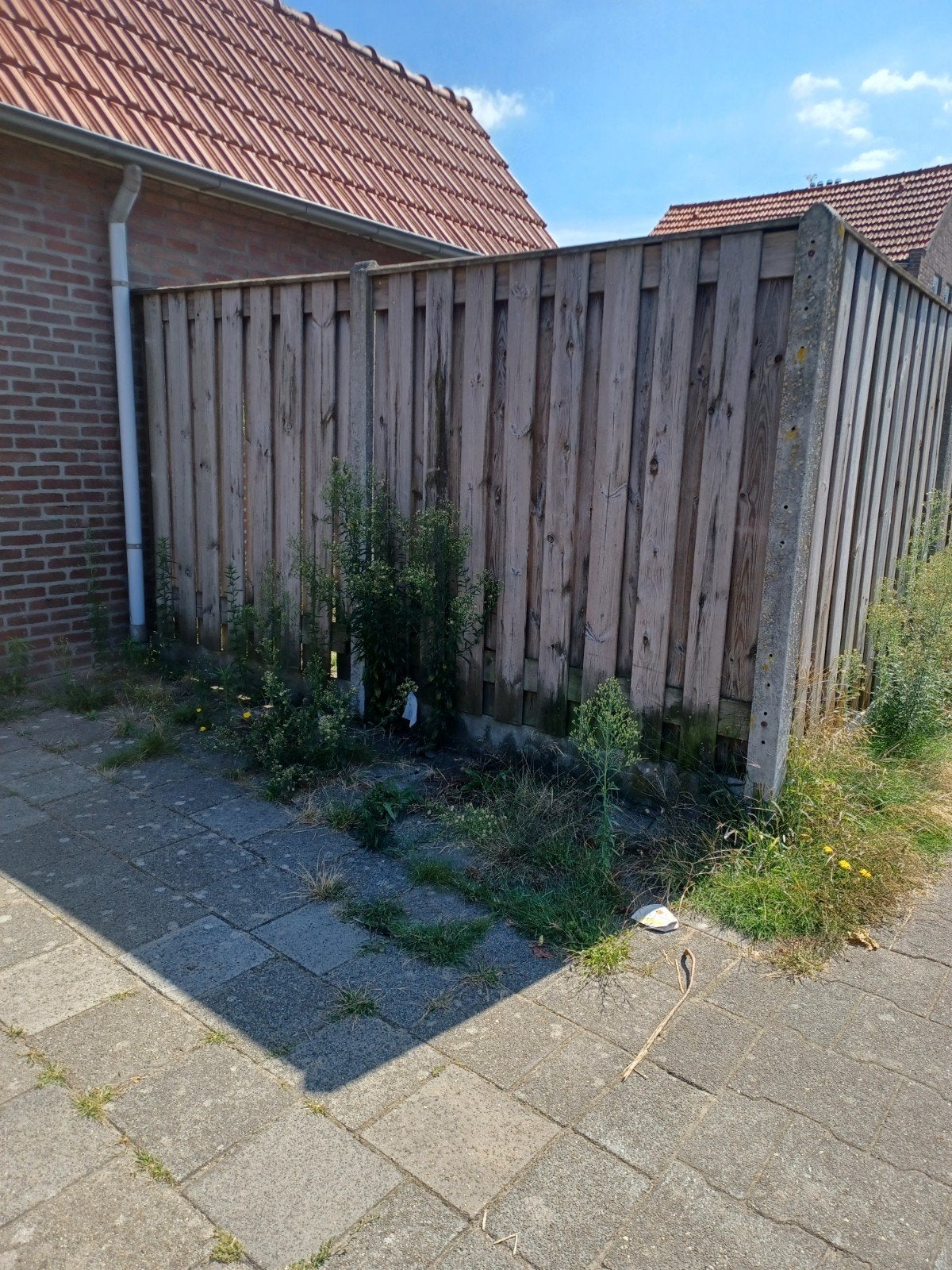 Houten schutting  met betonnen palen., Ophalen, Gebruikt, Hout, 6 meter of meer
