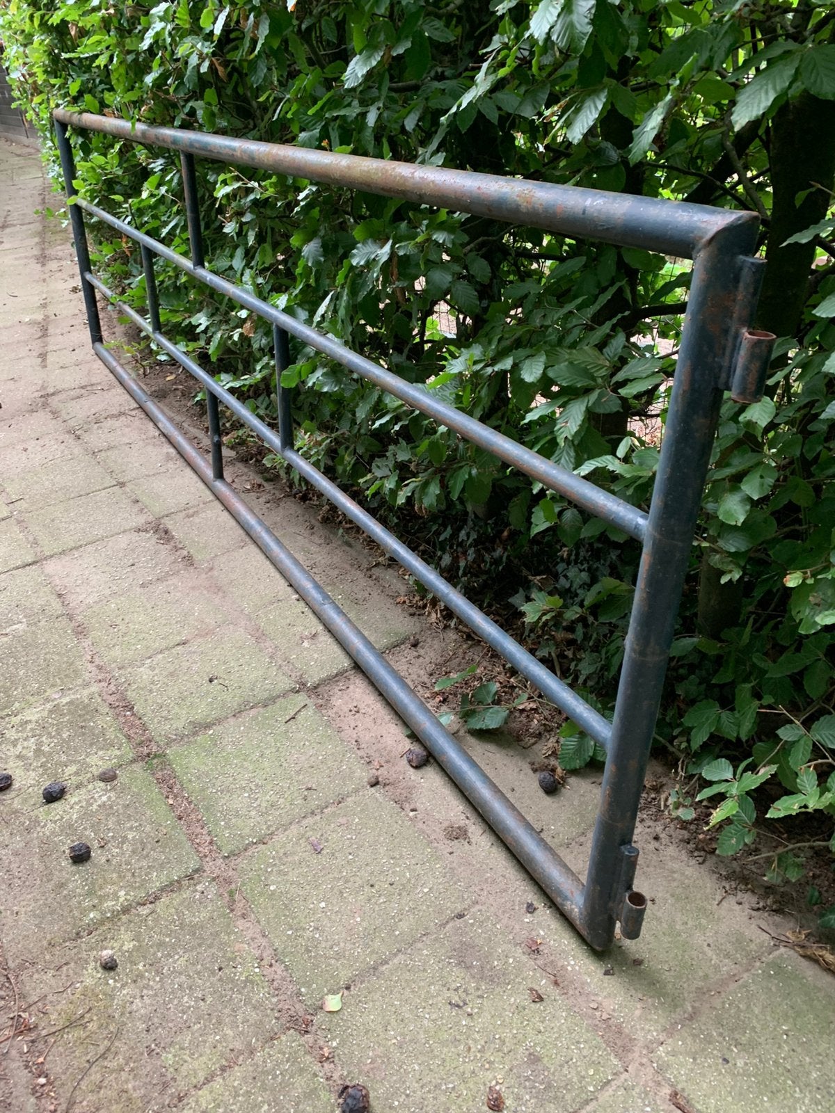 Hekwerk/ Weidehek, Ophalen of Verzenden, Zo goed als nieuw, IJzer