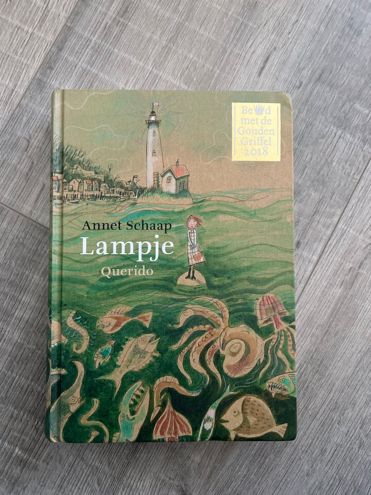 Lampje - Annet Schaap (Bekroond met Gouden Griffel), Ophalen of Verzenden, Zo goed als nieuw, Fictie algemeen