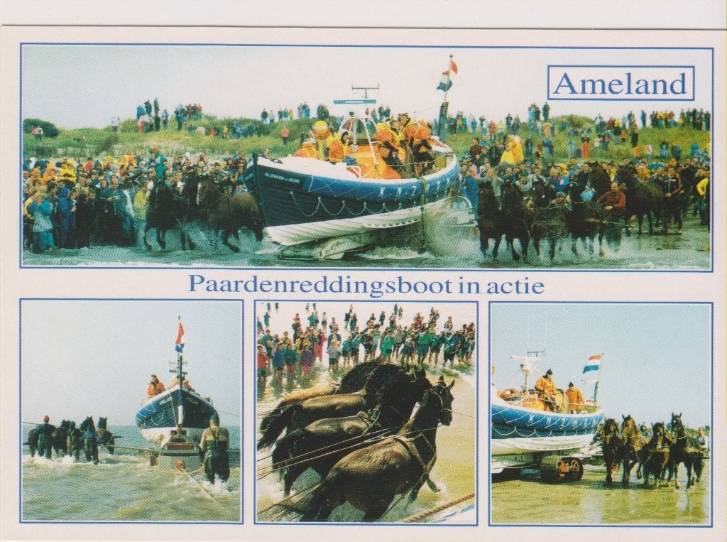 D542 ameland paarden reddingsboot 2 verschillende kaarten, Ophalen of Verzenden, 1960 tot 1980, Ongelopen, Waddeneilanden