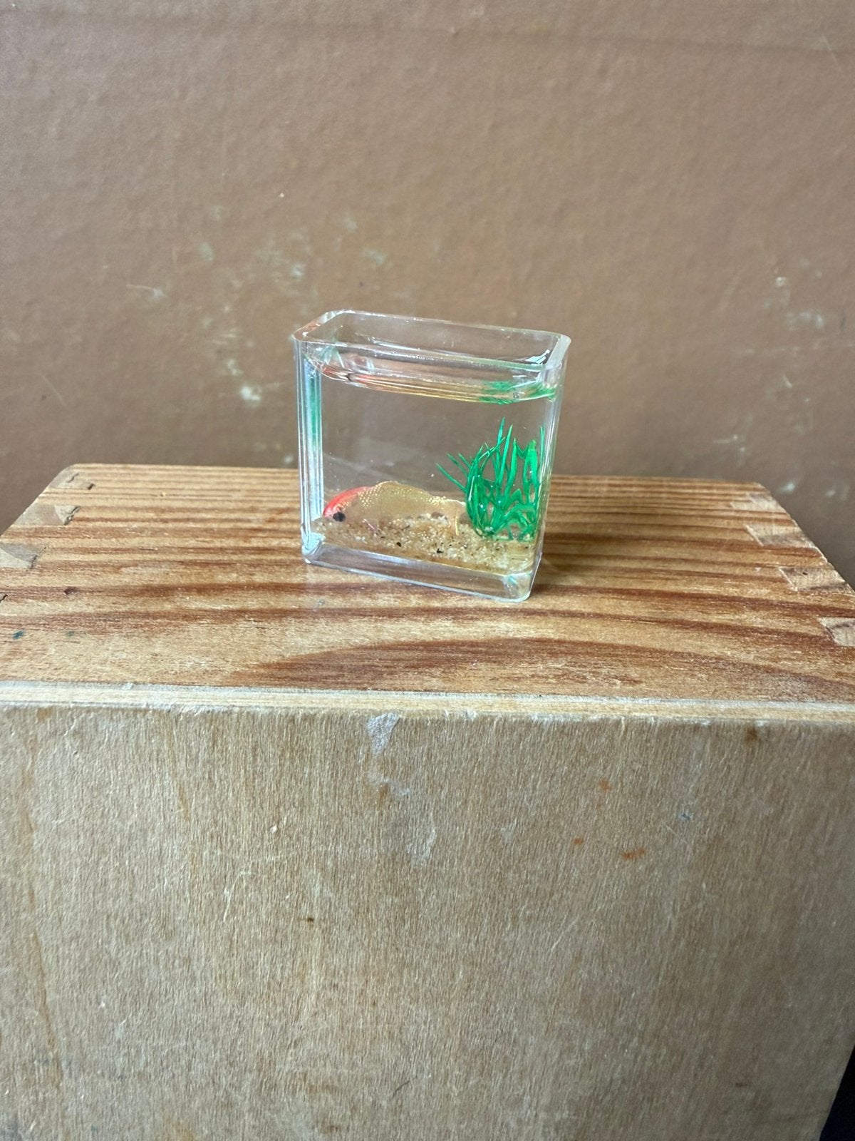 Bak met vis - hxbxd 2.6x2.8x1.4cm - kunststof, Ophalen of Verzenden, Zo goed als nieuw, Poppenhuis