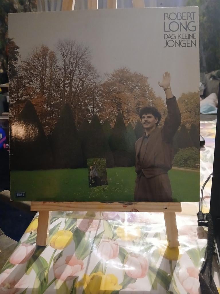 Robert Long - Dag Kleine Jongen vinyl LP, Cd's en Dvd's, Vinyl | Nederlandstalig, Ophalen of Verzenden
