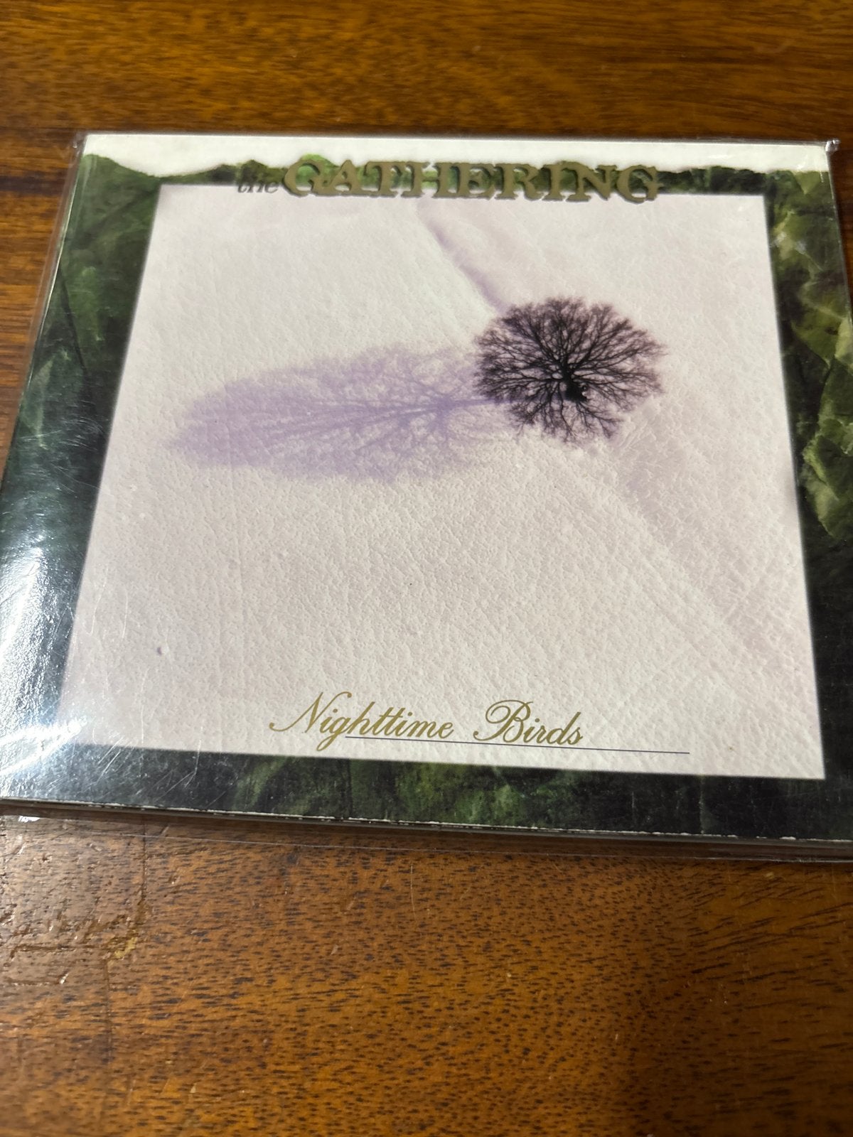 The Gathering - Nighttime Birds CD (Doom/Gothic Metal), Ophalen of Verzenden, Gebruikt, Doom metal, Album