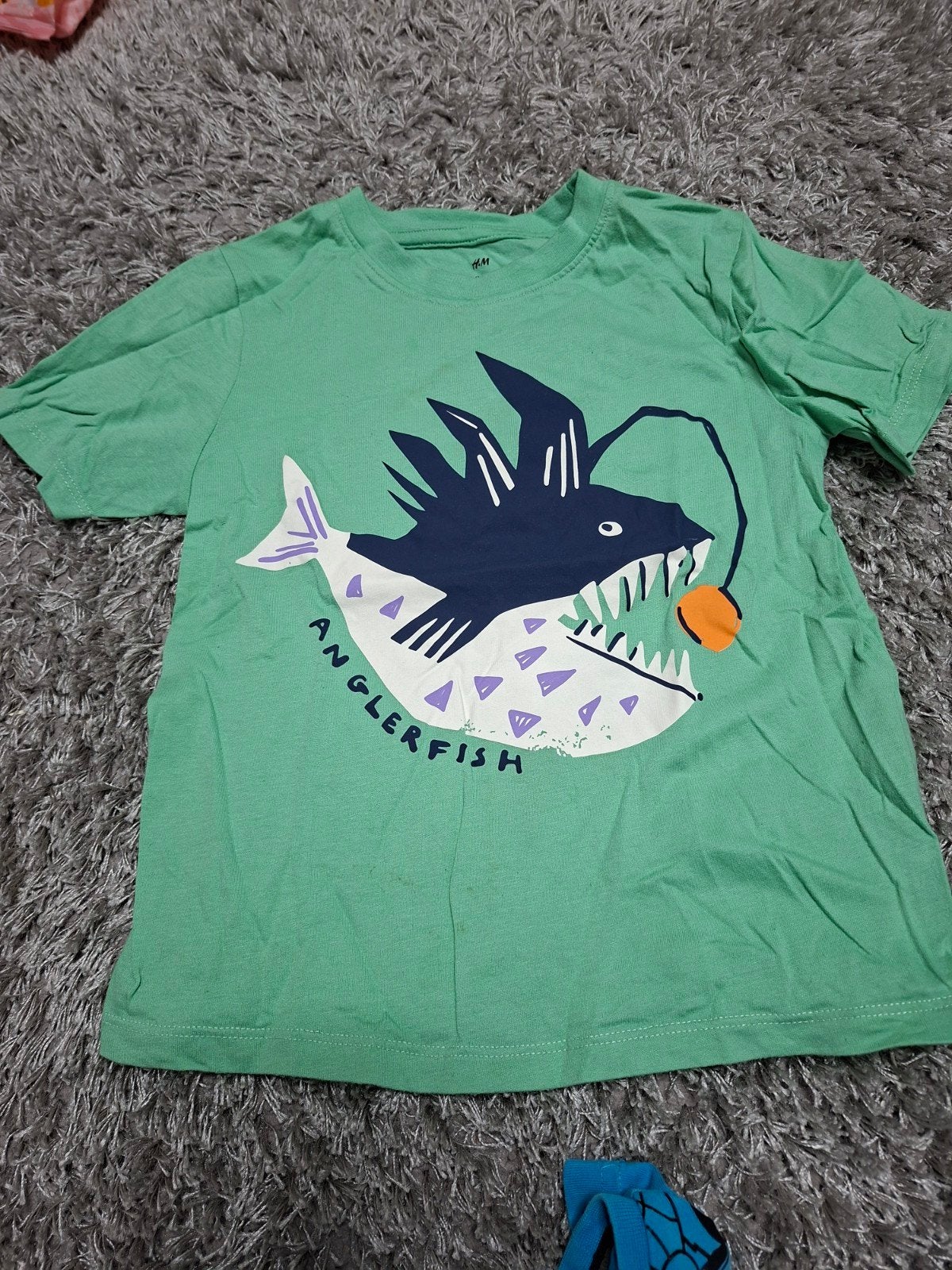 Groen shirtje met vis van H&M, maat 99/104, Kinderen en Baby's, Kinderkleding | Maat 98, Gebruikt, Verzenden, H&M, Shirt of Longsleeve