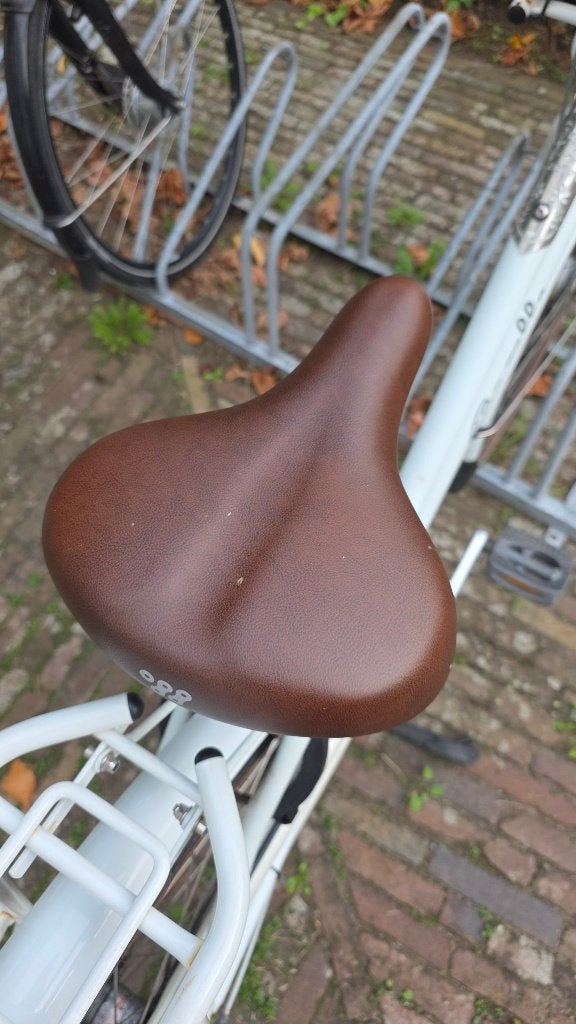 Foto 5 van Gazelle Miss Grace. 54 Frame, 3 Speed, Excellent Condition
