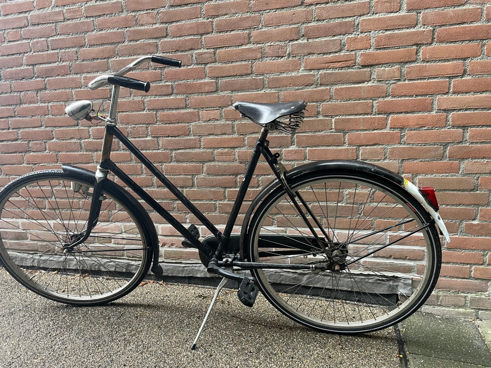 beauty, 55 tot 59 cm, Ophalen