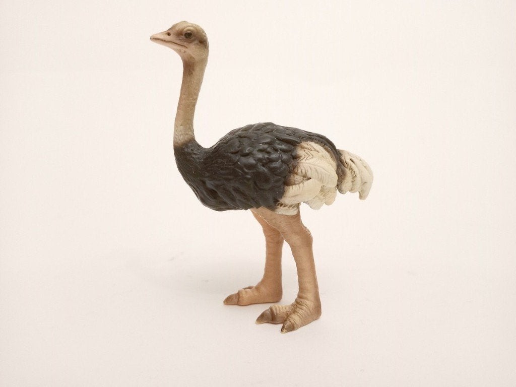 Schleich 14325 struisvogel, dierfiguur, Verzamelen, Ophalen of Verzenden, Gebruikt, Vogel, Beeldje of Figuurtje