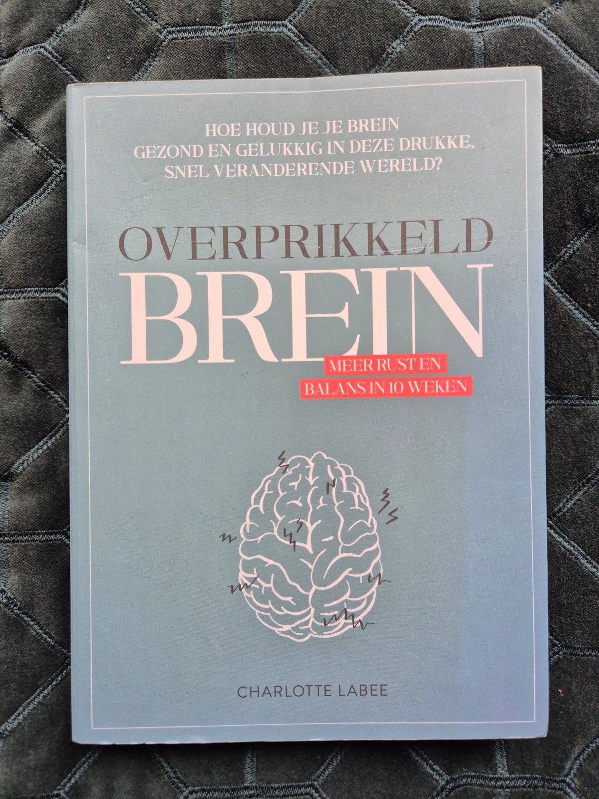 Charlotte Labee - Overprikkeld brein, Ophalen of Verzenden, Zo goed als nieuw, Charlotte Labee