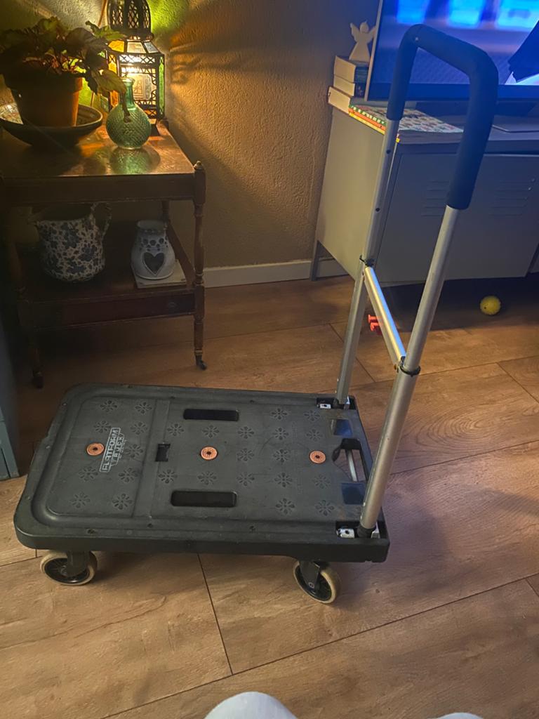 Transportkar FlatForm Truck, Doe-het-zelf en Verbouw, Transportwagens, 100 liter of meer, Ophalen of Verzenden, Gebruikt, Transportkar