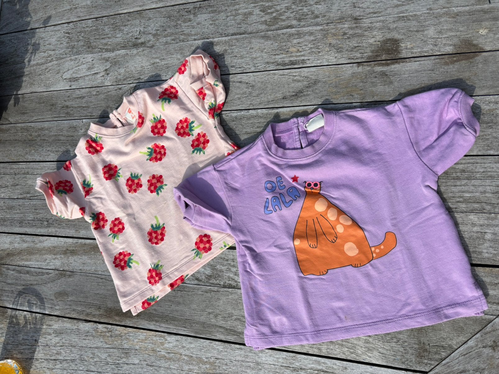 2 leuke t-shirts met print maat 80(HEMA), meisjeskleding, Kinderen en Baby's, Ophalen of Verzenden, Zo goed als nieuw, Meisje