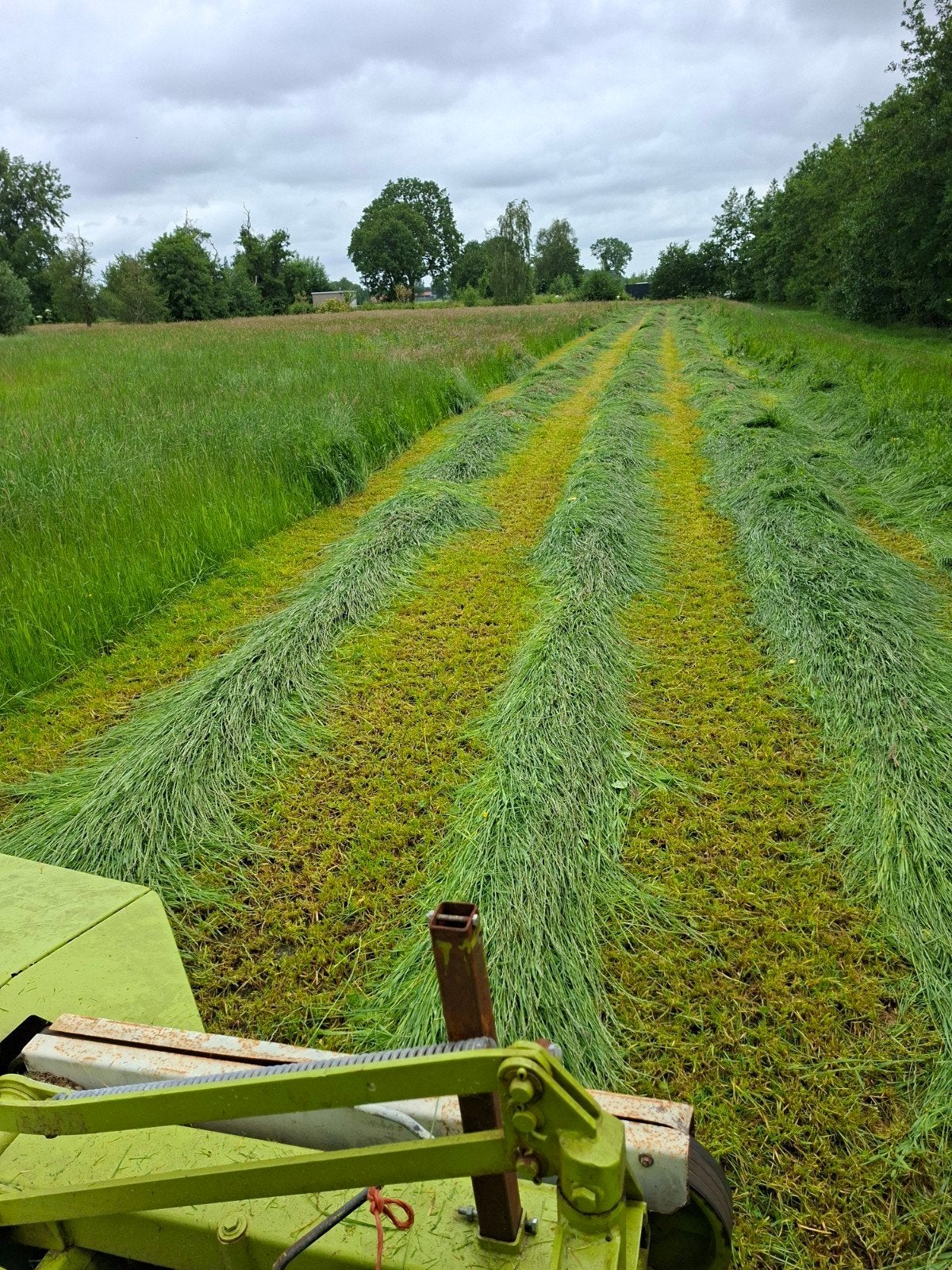Te koop 20 midibalen 24,50, Dieren en Toebehoren, Stalling en Weidegang