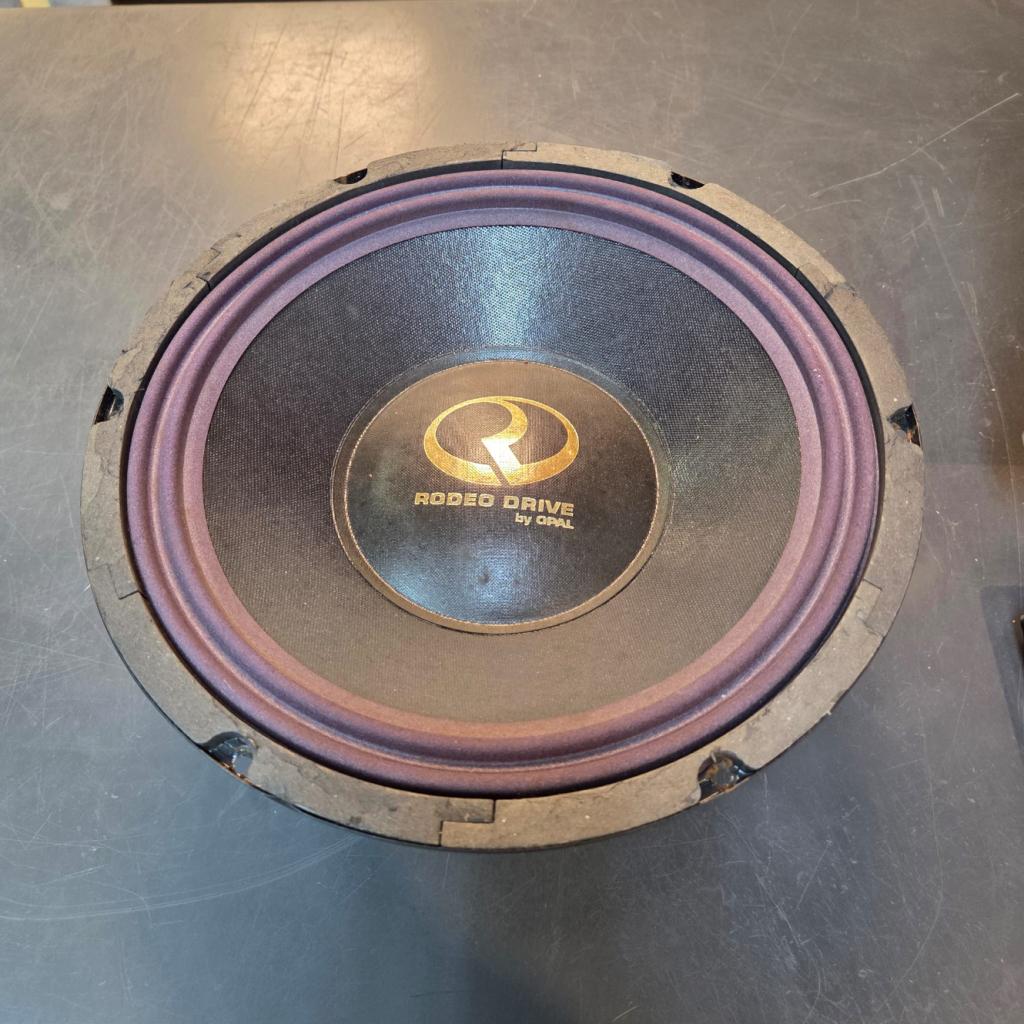 Rodeo Drive 12 inch subwoofer speaker, dubbele spreekspoel, Flex Ltd., Zo goed als nieuw, https://flex.com/contact-us, Nobelstraat 10, 5807 GA Oostrum LB, Limburg, Nederland