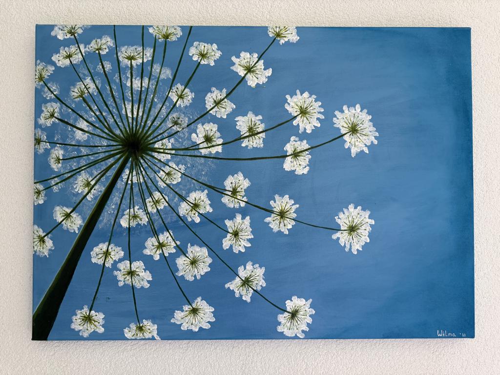 schilderij schermbloem, Ophalen, Gebruikt, Schilderij, 50 tot 75 cm