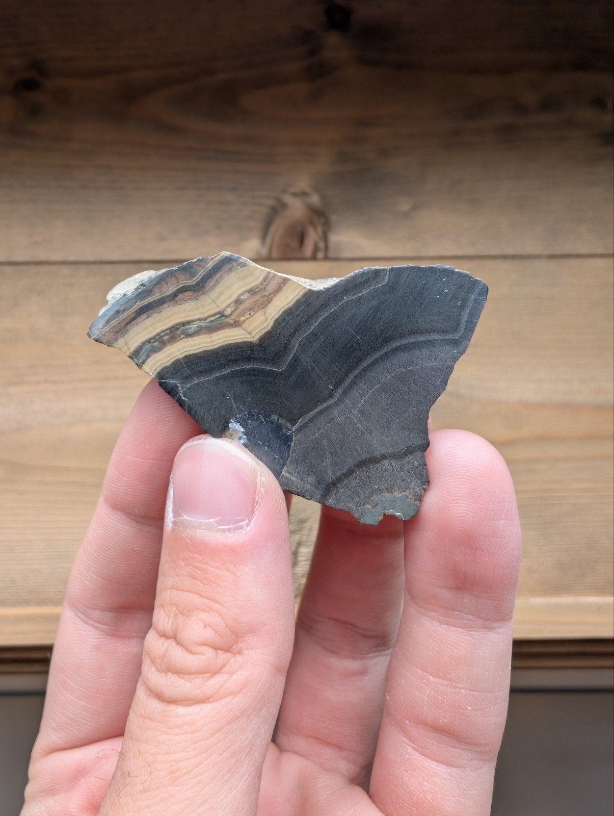 schalenblende uit België, Ophalen of Verzenden, Mineraal
