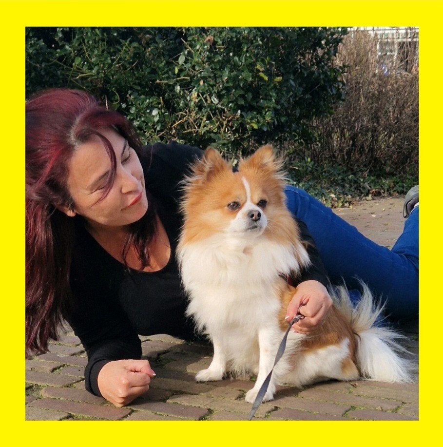 .Hondenoppas Vakantie Honden opvang, oppas, Ophalen of Verzenden