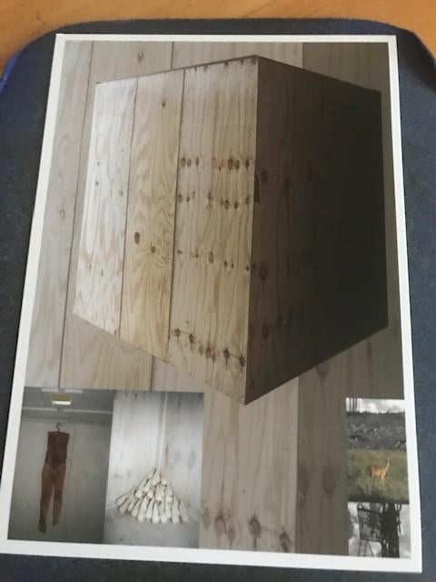 Petra Roelofsen, Ophalen of Verzenden