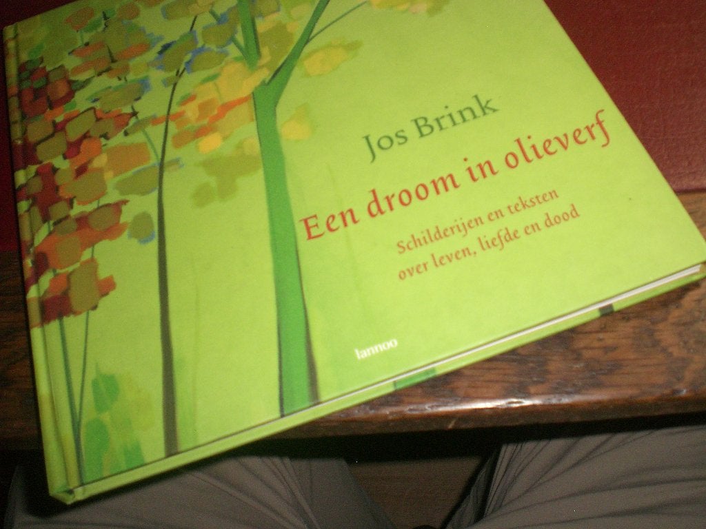 een droom in olieverf Jos Brink, Boeken, Kunst en Cultuur | Beeldend, Ophalen of Verzenden, Gelezen