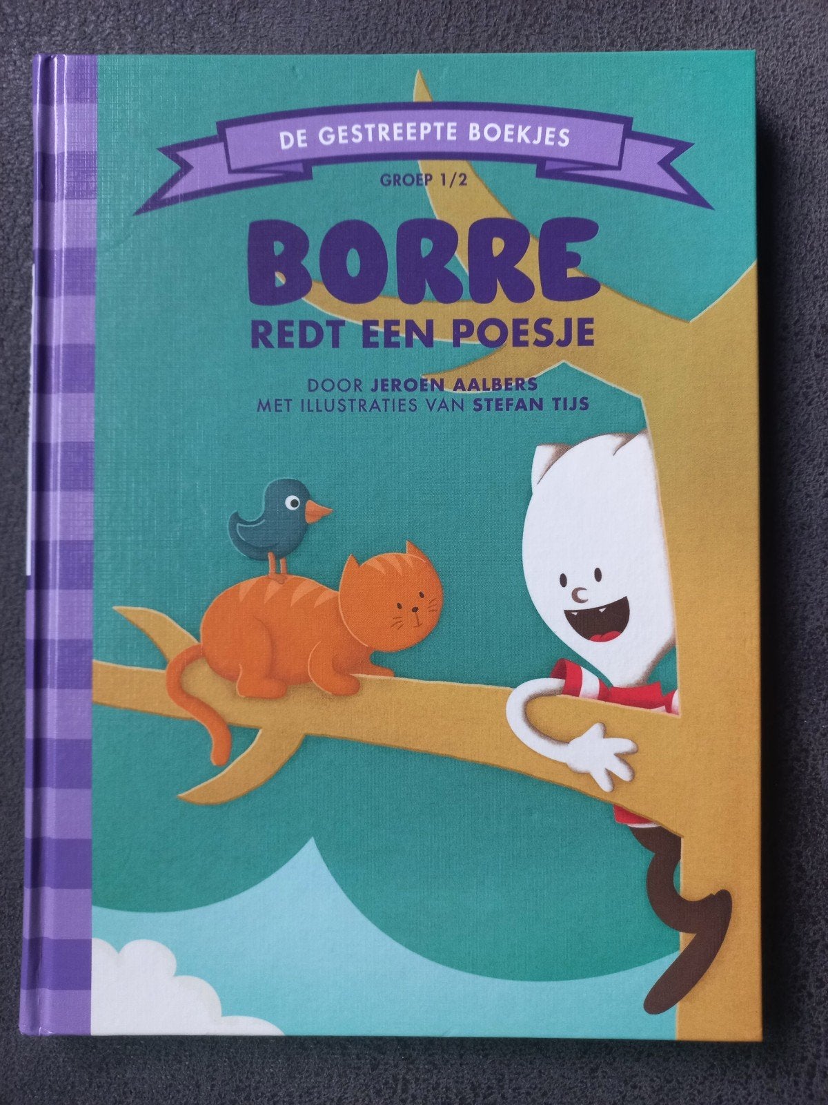 Boekjes Borre leesclub groep 1 / 2 €1 per stuk, Ophalen of Verzenden, Zo goed als nieuw, Fictie algemeen