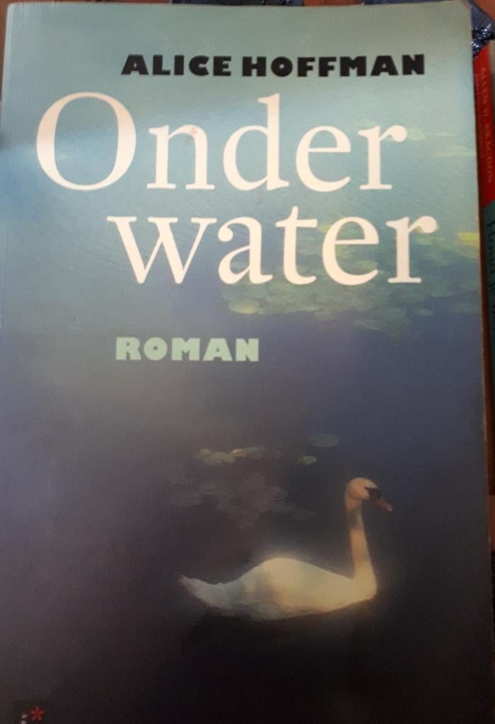 Onder Water - Alice Hoffman, Ophalen of Verzenden, Gelezen