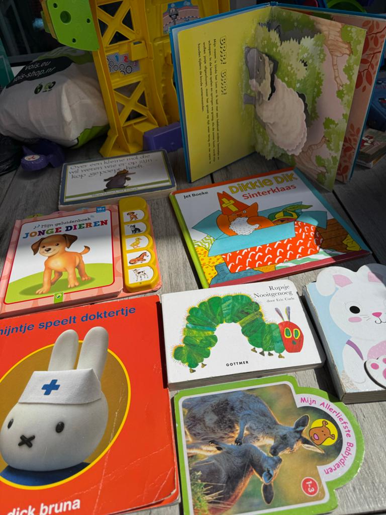 Diverse kinderboeken: Nijntje, Rupsje Nooitgenoeg & meer, Boeken, Ophalen of Verzenden, Gelezen, Uitklap-, Voel- of Ontdekboek