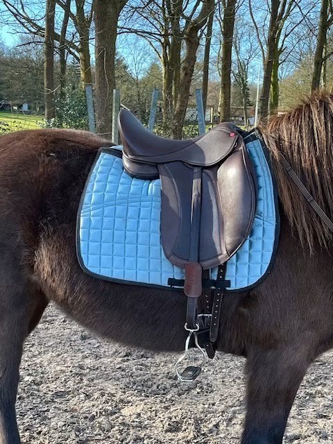 Edix Tudor bruin 17 inch Compleet, Ophalen of Verzenden, Zo goed als nieuw, Dressuur