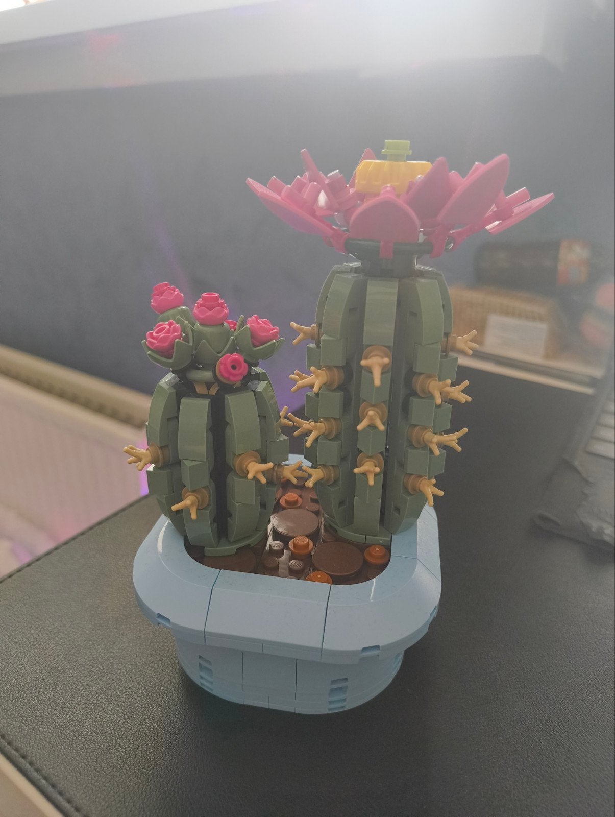 LEGO Botanicals Bloeiende Cactus | 11509, Ophalen, Overige thema's, Lego, Compleet
