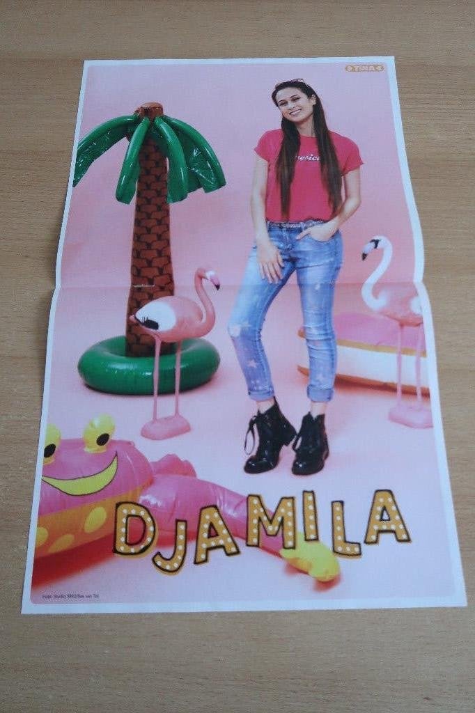 Meisje Djamila poster, Ophalen of Verzenden, Nieuw, Poster, Artwork of Schilderij