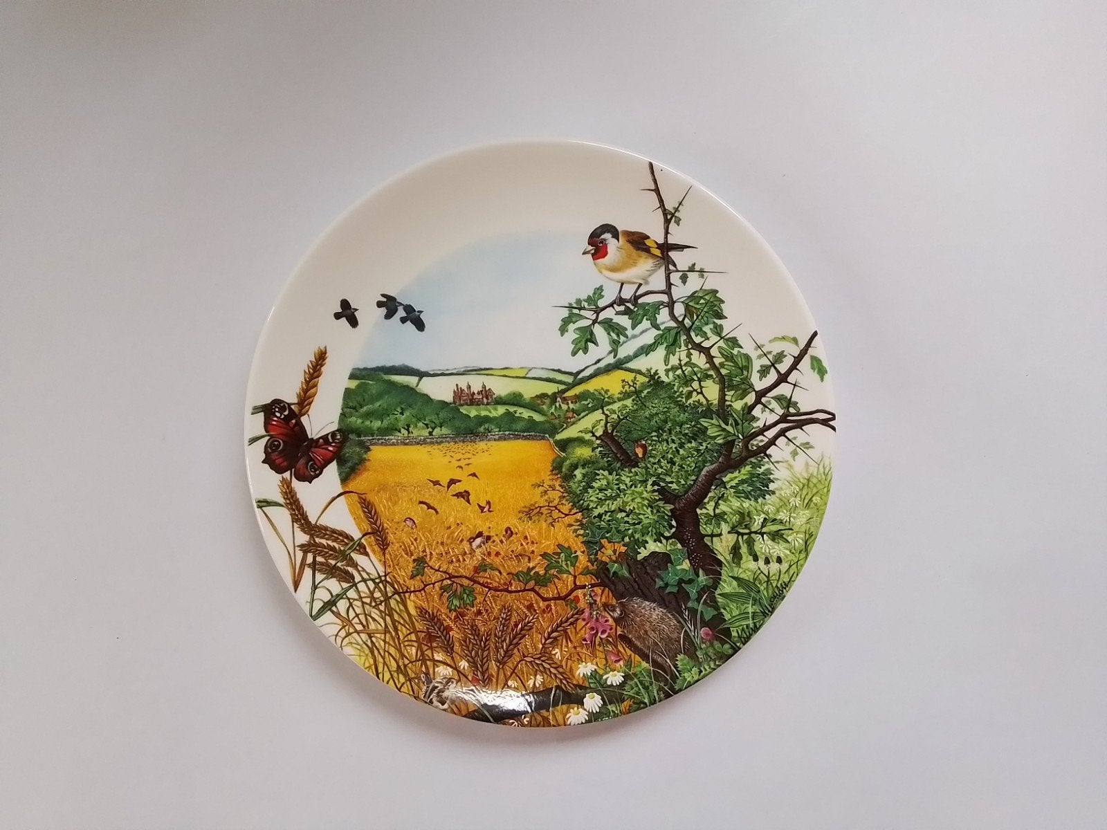 Wedgwood "Rolling Hills and Grasslands" Wandbord 1988, Antiek en Kunst, Ophalen of Verzenden