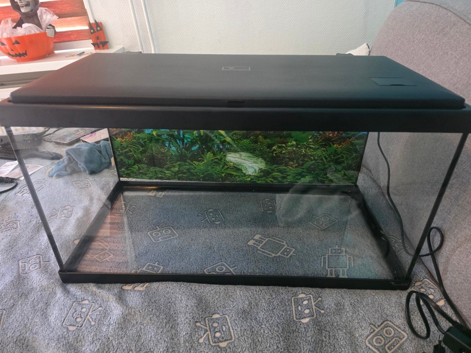 aqarium met lamp en achterwand, Ophalen, Zo goed als nieuw, Leeg aquarium
