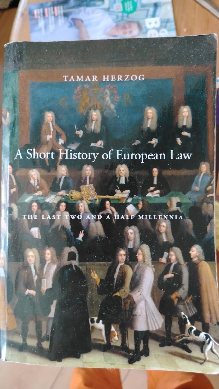 A Short History of European Law - Tamar Herzog, Ophalen of Verzenden, Gamma, Gelezen, WO