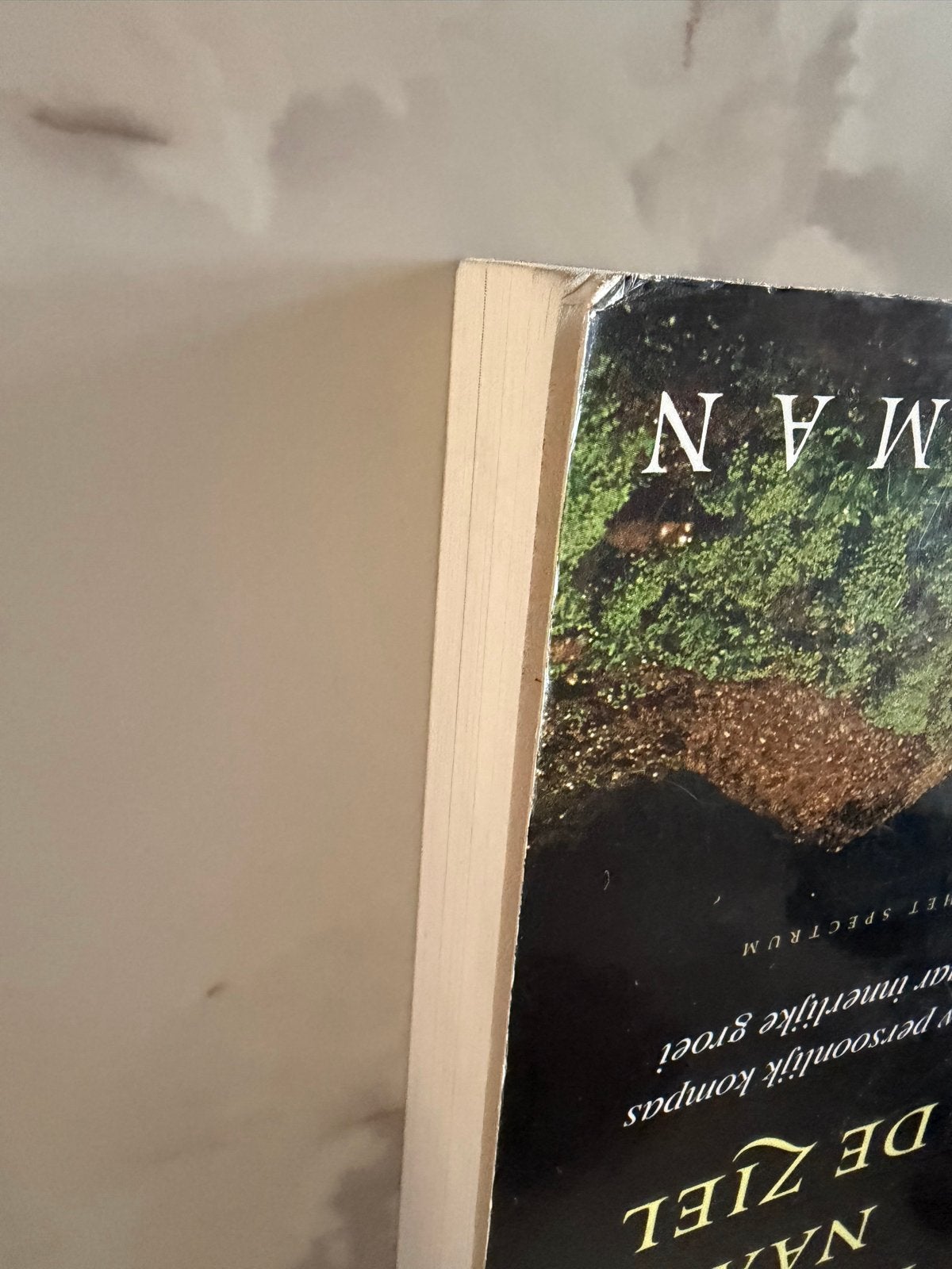 De Twaalf Poorten naar de Ziel - Dan Millman, Ophalen of Verzenden, Gelezen, Ziel of Sterfelijkheid, Verhaal of Roman