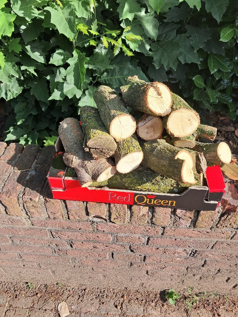 Hout openhaard of vuurkorf, Minder dan 3 m³, Ophalen, Eikenhout, Blokken