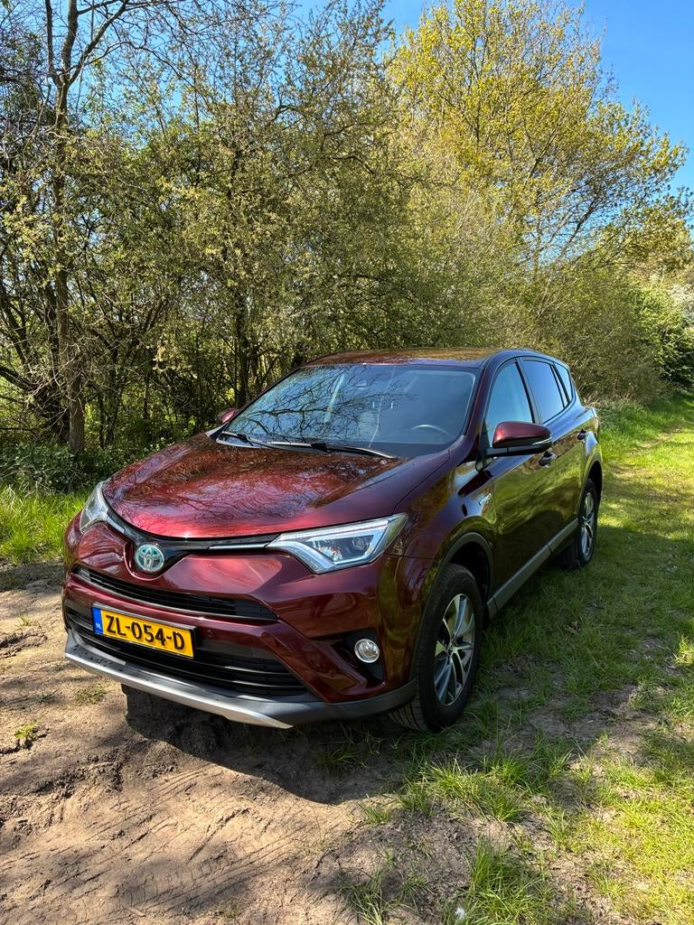 Toyota Rav4 2.5HYBRID 145KW 2WD CVT 2016 2016 Rood, Stof, Zwart, 2494 cc, 155 pk