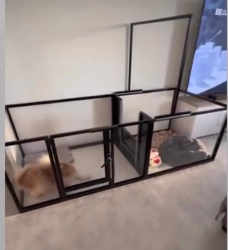 Puppyren met werpkist incl bodem en doodligstangen, Ophalen, Zo goed als nieuw, Minder dan 75 cm, Minder dan 65 cm