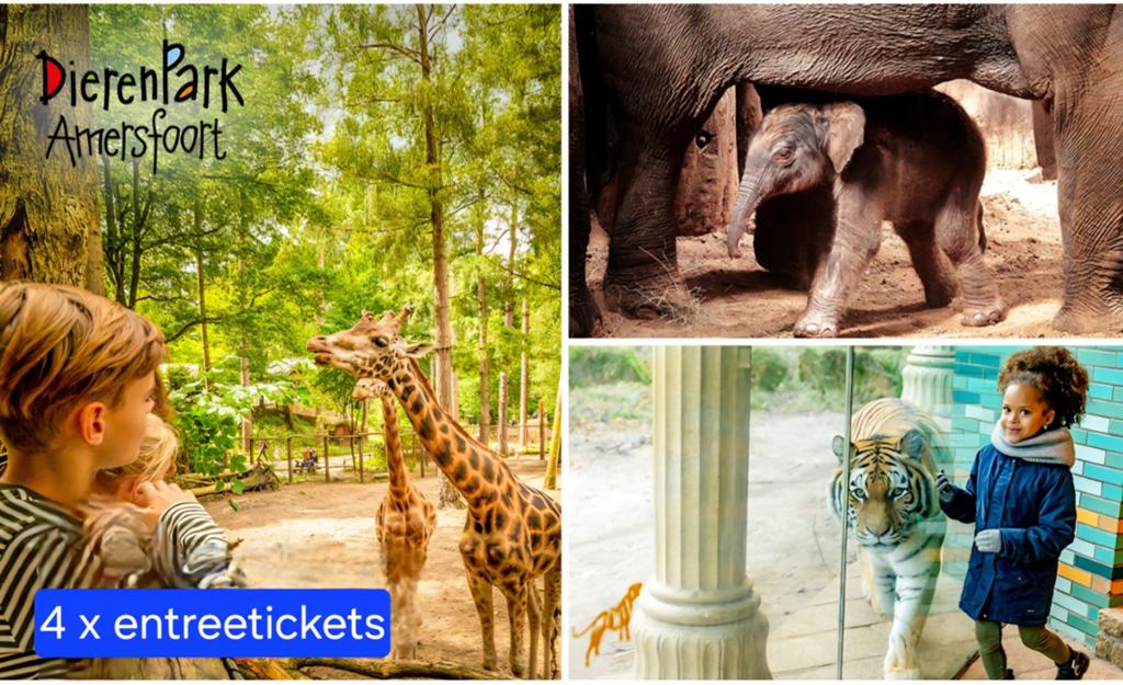 4 entree tickets voor Dierenpark Amersfoort🦒🐘🐅🦏., Tickets en Kaartjes, Recreatie | Dierentuinen, Drie personen of meer, Ticket of Toegangskaart