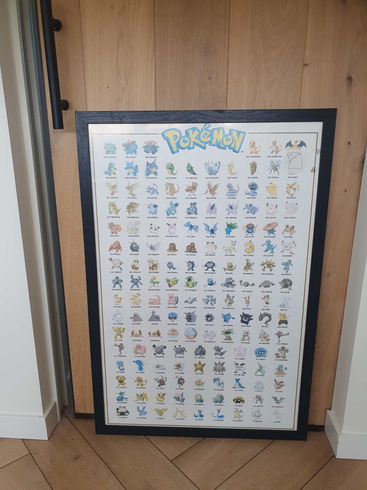 pokemon poster in lijst, Ophalen, A1 t/m A3, Film en Tv