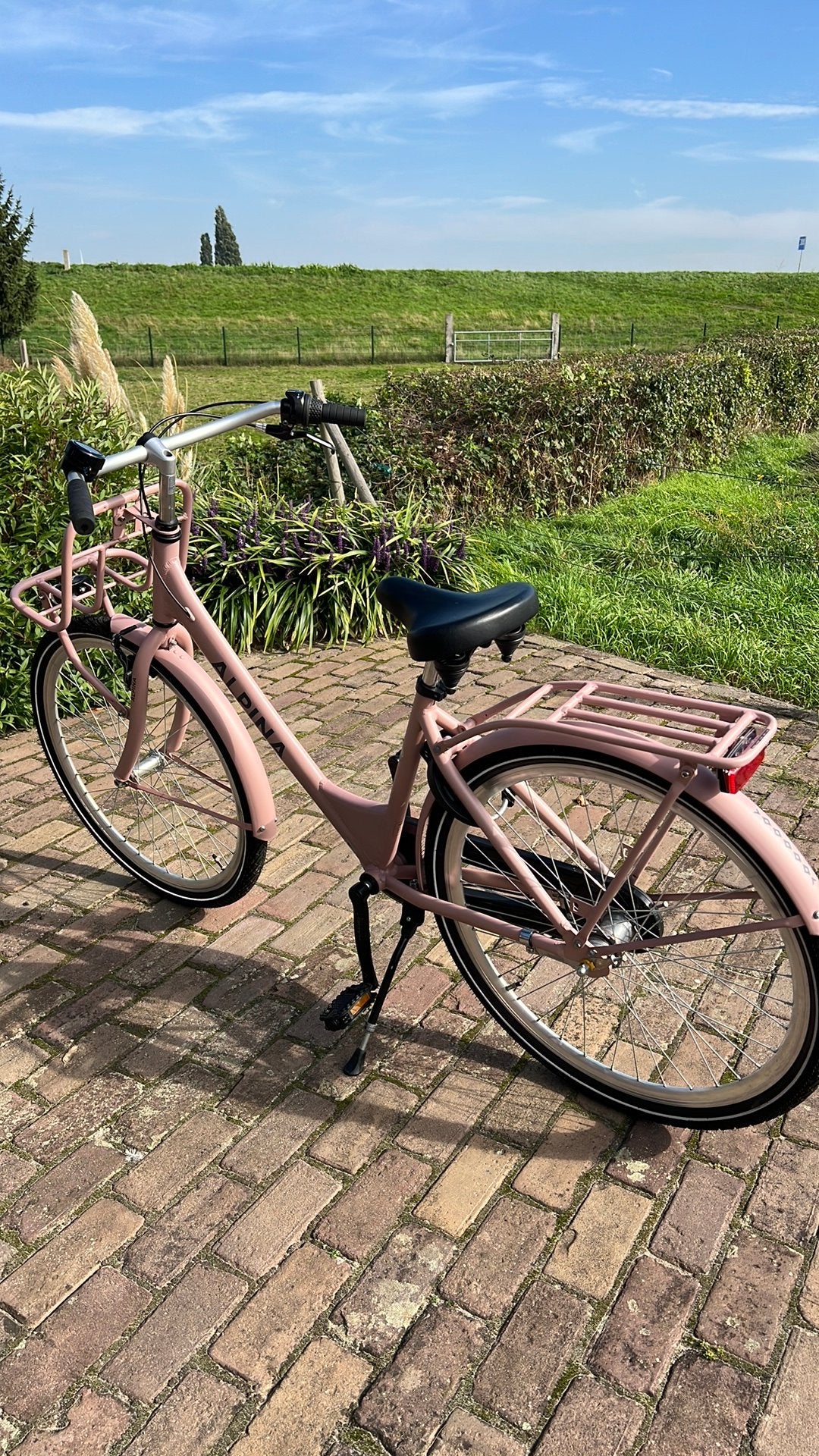 Super mooie Alpina clubb roze meisjes 26 inch niet gebruikt, Fietsen en Brommers, Ophalen, Zo goed als nieuw, 26 inch of meer