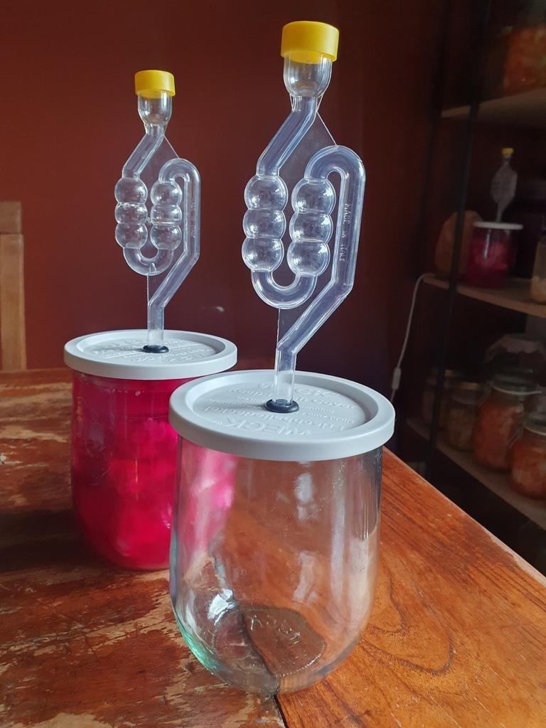 Fermenteerpot "Rotpot". Maak je eigen zuurkool/kimchi, Nieuw, Ophalen of Verzenden, Overige merken, Glas