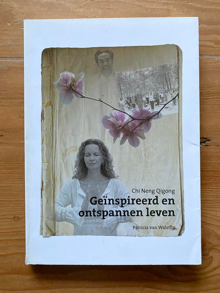 Chi Neng Qigong- Geïnspireerd en ontspannen leven, Boeken, Ophalen of Verzenden, Gelezen, Overige onderwerpen, Instructieboek