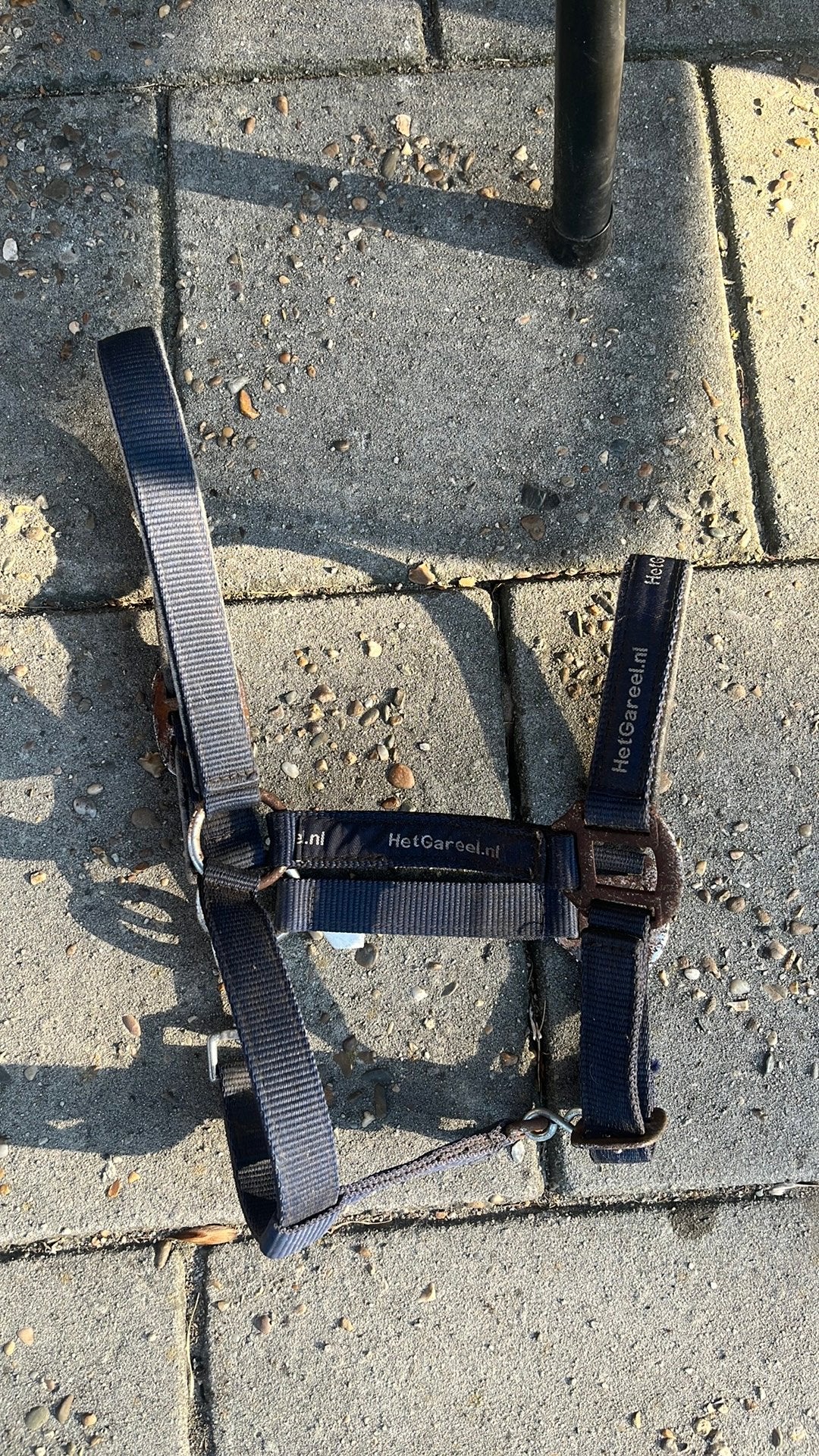 Halster kleine pony, Ophalen, Shetlander, Gebruikt, Blauw