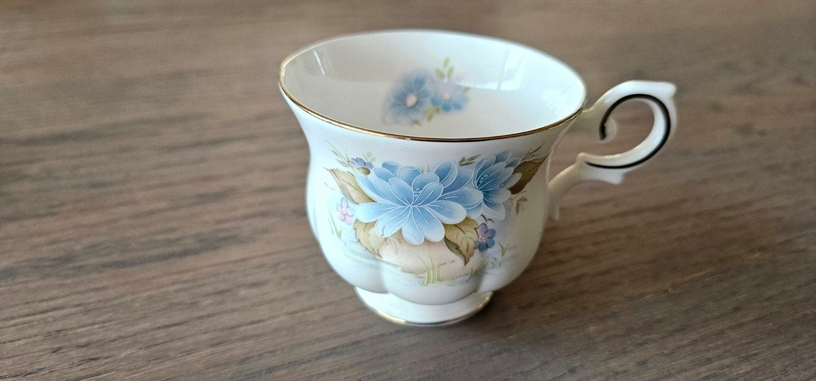 Vintage Royal Canterbury engels kopje 'Blue temple garden', Ophalen of Verzenden, Nieuw, Porselein, Kop en/of schotel