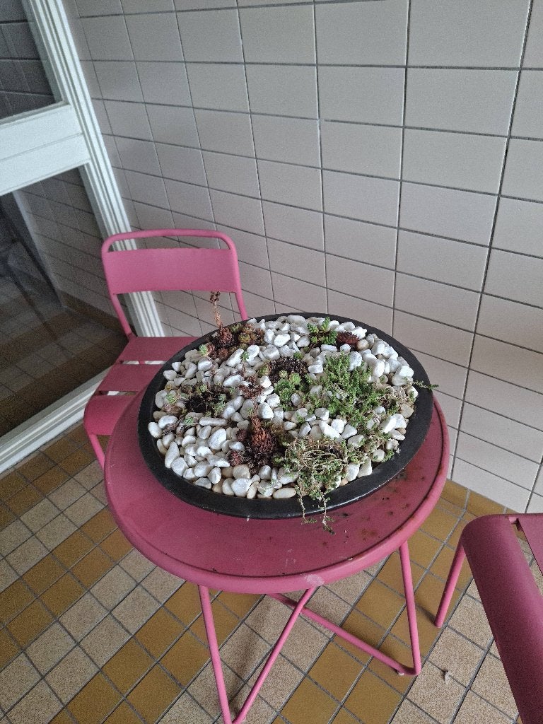 Balkonsetje roze met plantenbak en planten, Overige materialen, Gebruikt, Bijzettafel, Tuinset