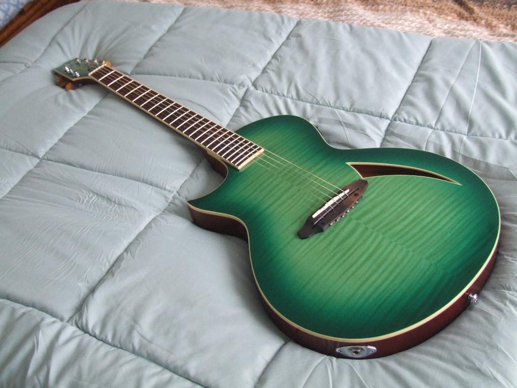 ESP LTD TL-6 Fm LH linkshandige Lefty acoustic gitaar, Muziek en Instrumenten, Ophalen, Zo goed als nieuw, Semi-solid body, Overige merken