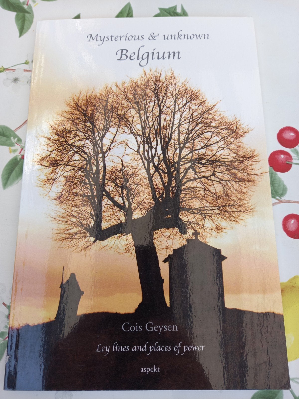 Mysterious & unknown Belgium - Cois Geysen, Overige merken, Ophalen of Verzenden, Zo goed als nieuw, Reisgids of -boek