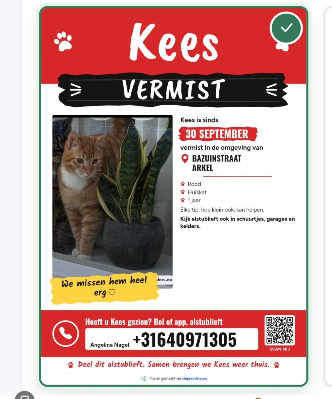 onze kees is vermist, Kat