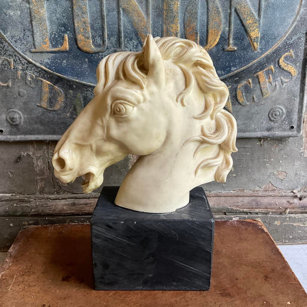 Buste paardenhoofd *floor epe*, Antiek en Kunst, Ophalen of Verzenden