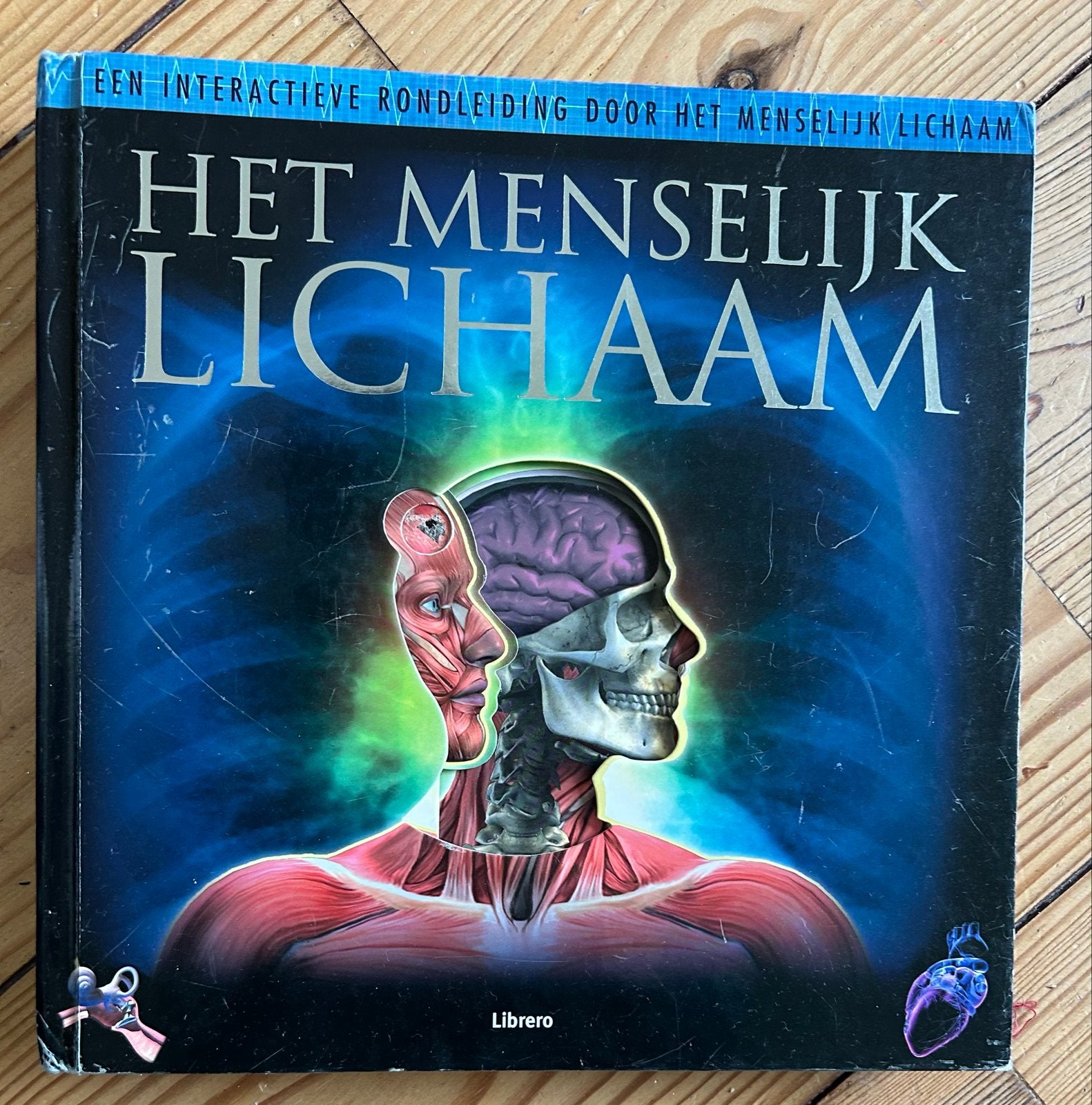 Steven J. Parker - Het menselijk lichaam, Ophalen of Verzenden, Gelezen, Steven J. Parker, Prentenboek