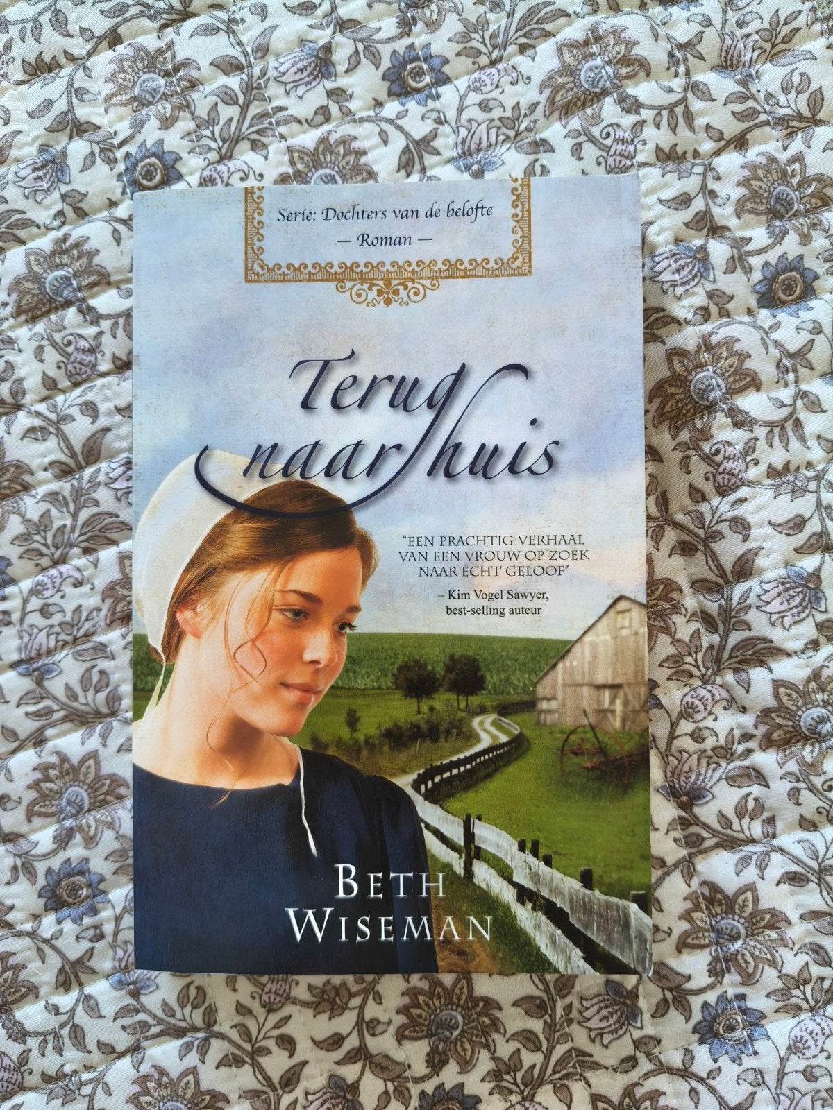 Terug naar huis - Beth Wiseman (Roman), Ophalen of Verzenden, Zo goed als nieuw, Beth Wiseman, Nederland