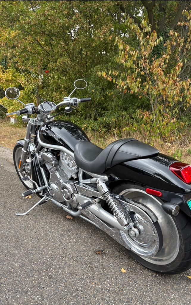 Harley-Davidson Vrod 5HD VRSCA 1130 V-Rod, Motoren, Motoren | Harley-Davidson, Particulier, Chopper