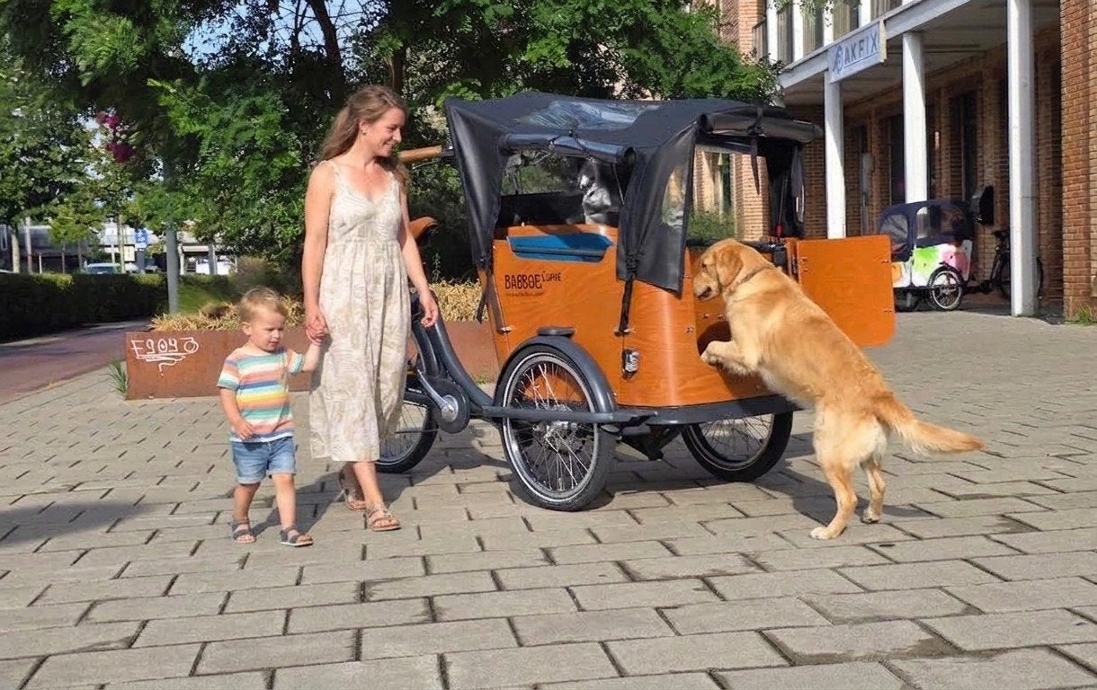 Babboe Curve-e hondenbakfiets met deurtje voor